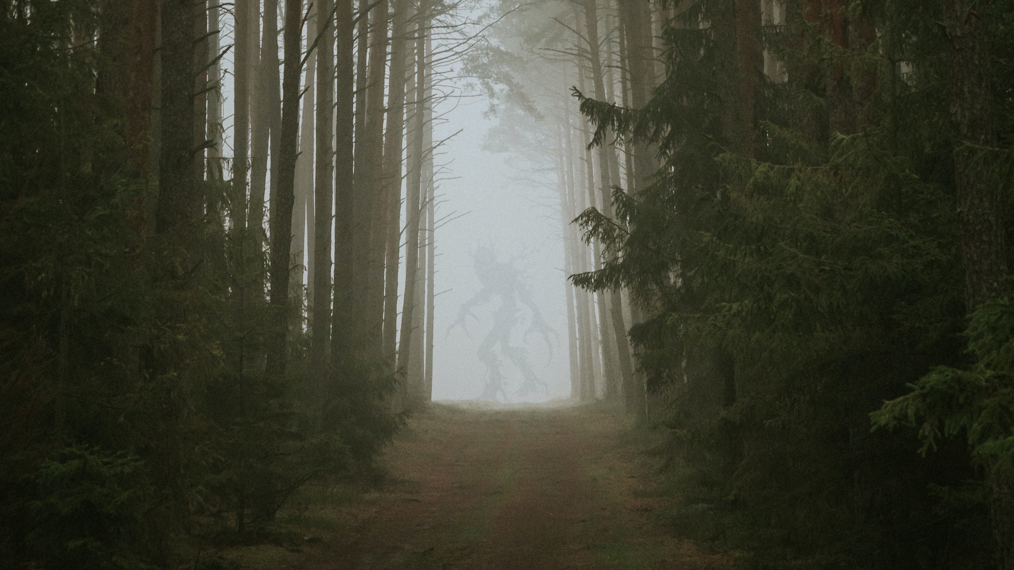 Monstrous figure looming in a fog at the end of a forest path.

Photo by Mariusz Słoński on Unsplash.
  